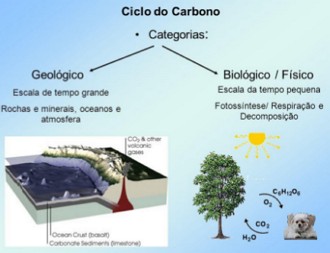 Figura mostrando o ciclo do carbono