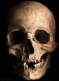 Foto de um crânio humano real