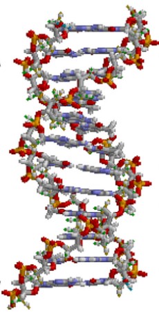 estrutura de DNA Ilustração de uma estrutura de DNA