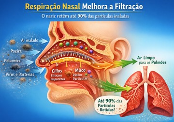 Imagem mostrando a importância do nariz no processo de filtração do ar que respiramos Imagem mostrando a importância do nariz no processo de filtração do ar que respiramos