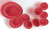 Hemoglobinas: transportando oxigênio no sangue