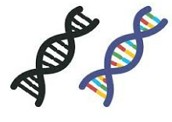 Biologia molecular: importante ramo da Biologia