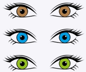 Ilustração mostrando olhos com cores diferentes